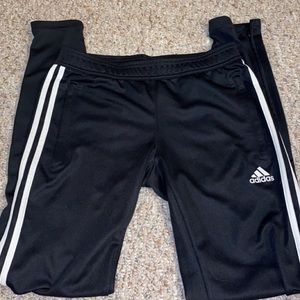 Adidas Pants